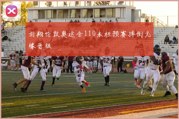 刘翔伦敦奥运会110米栏预赛摔倒无缘晋级