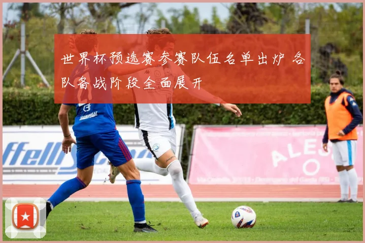 世界杯预选赛参赛队伍名单出炉 各队备战阶段全面展开