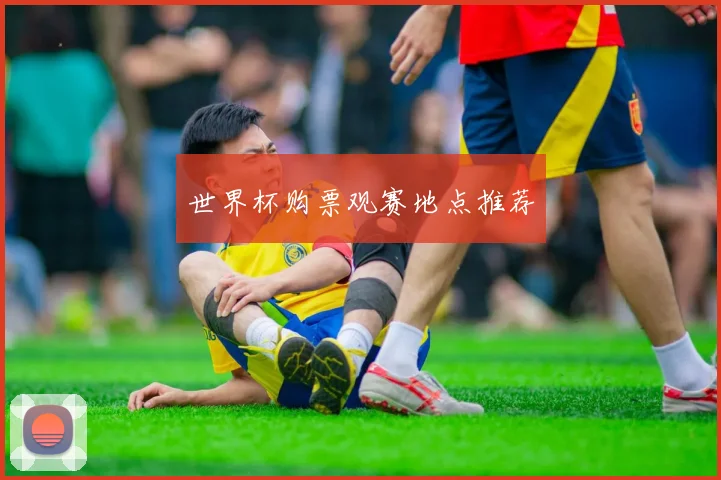 世界杯购票观赛地点推荐