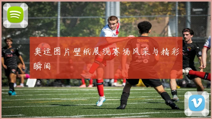 奥运图片壁纸展现赛场风采与精彩瞬间