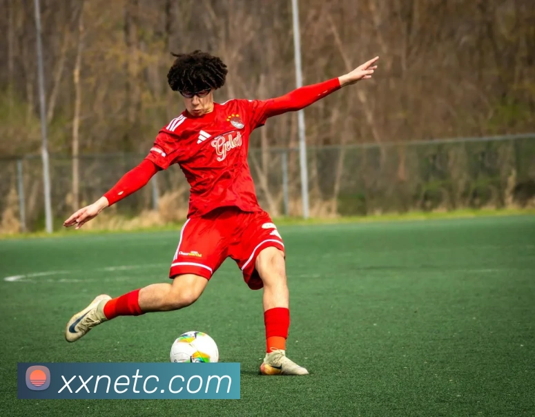 App Interface Preview